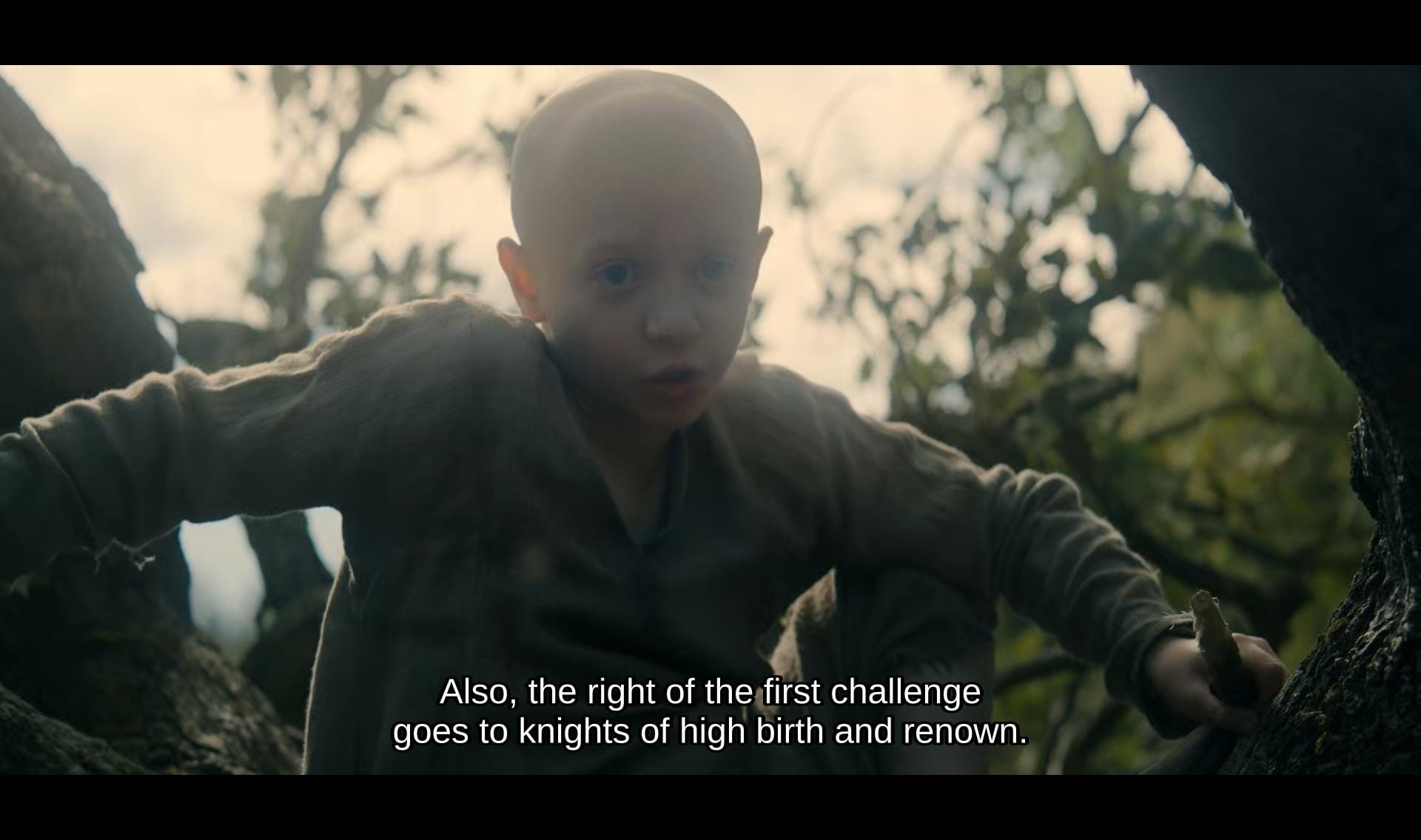 screenshot of a knight of the seven kingdoms featuring egg saying, "also, the right of the first challenge goes to knights of high birth and renown."
