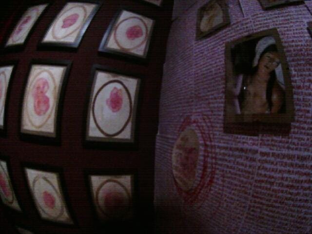 low res photo (taken with the mnt camera) of a small part of the room installation featuring the work of alicia agustín. there are images and text. the dominating color is red.